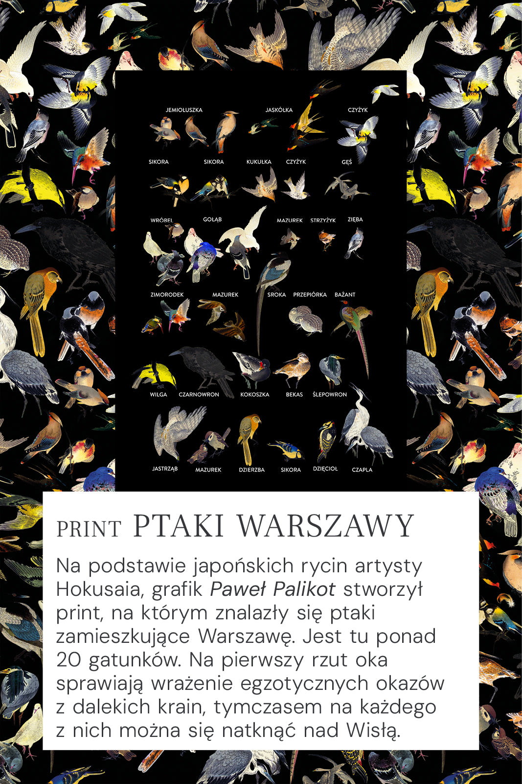 KLIN LADY dress Warsaw birds print